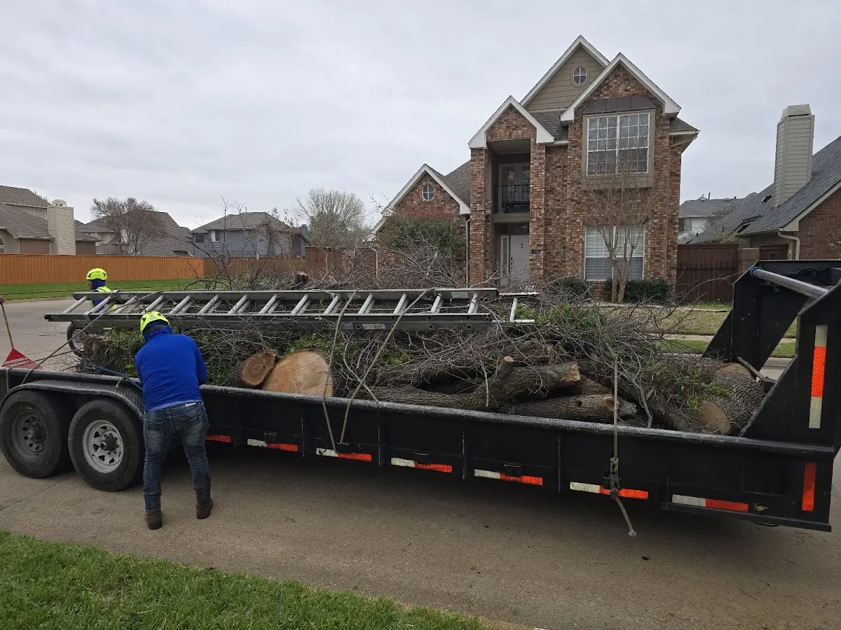 Expert Crown Reduction with proper safety equipment in Jonesborough